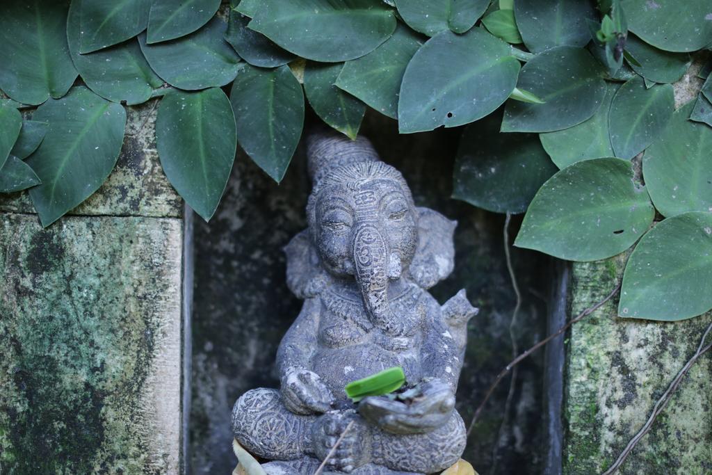 Karang Mesari Ubud Guest House Zewnętrze zdjęcie