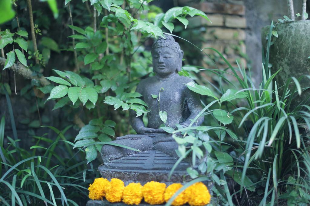 Karang Mesari Ubud Guest House Zewnętrze zdjęcie