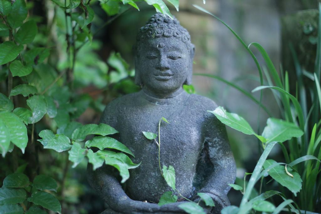 Karang Mesari Ubud Guest House Zewnętrze zdjęcie