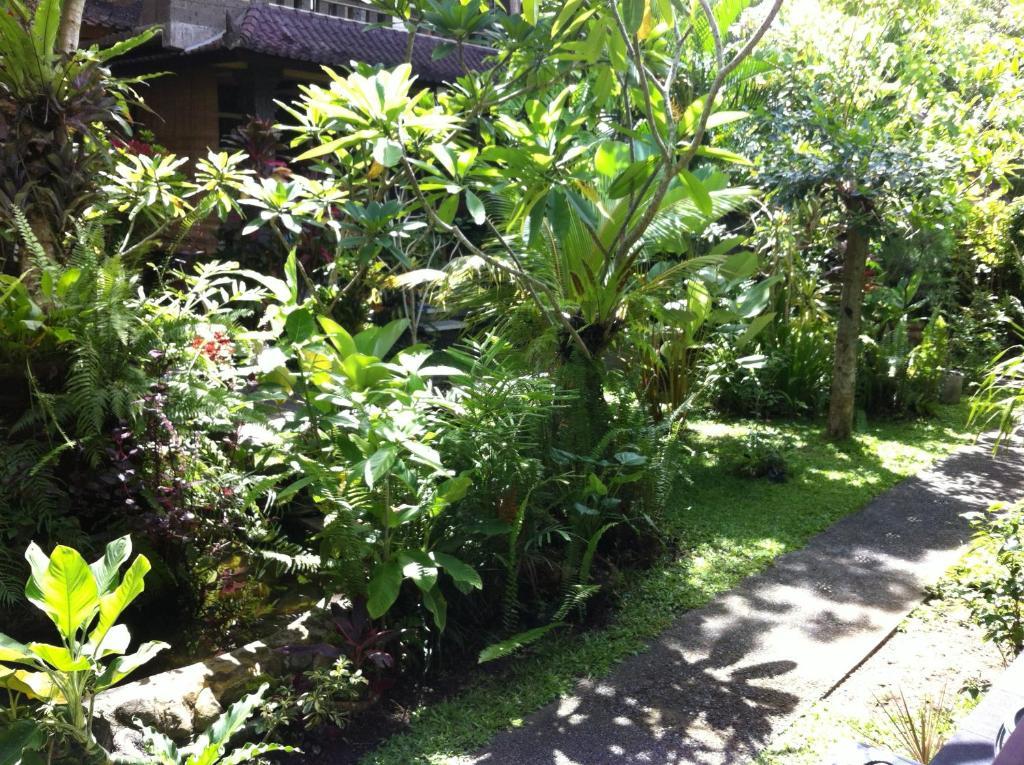 Karang Mesari Ubud Guest House Zewnętrze zdjęcie