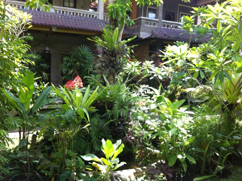 Karang Mesari Ubud Guest House Zewnętrze zdjęcie