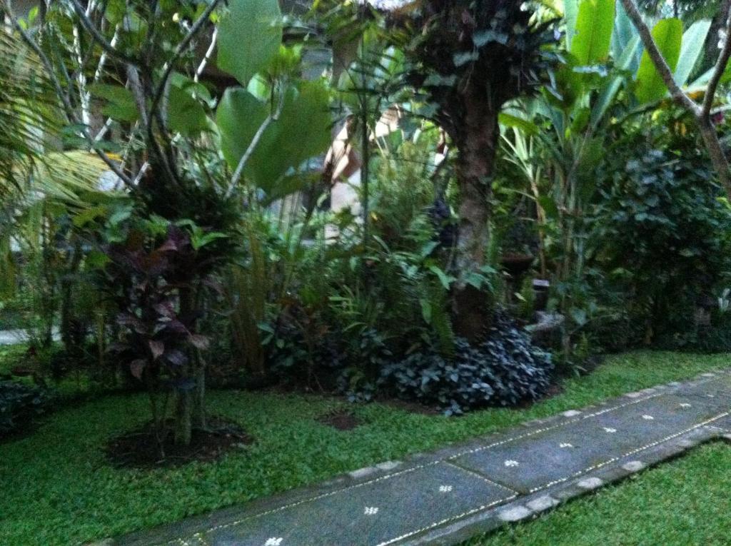 Karang Mesari Ubud Guest House Zewnętrze zdjęcie