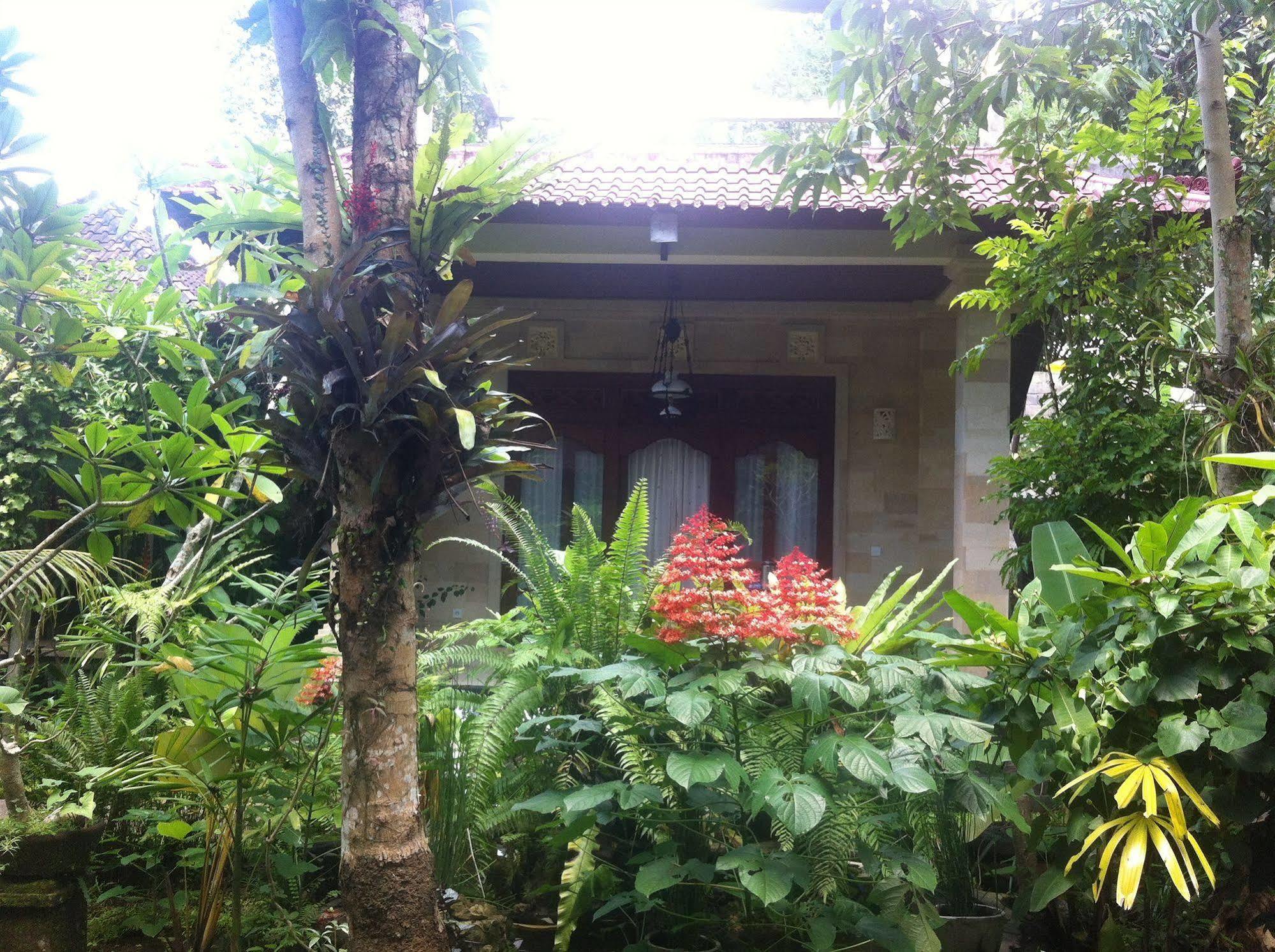 Karang Mesari Ubud Guest House Zewnętrze zdjęcie